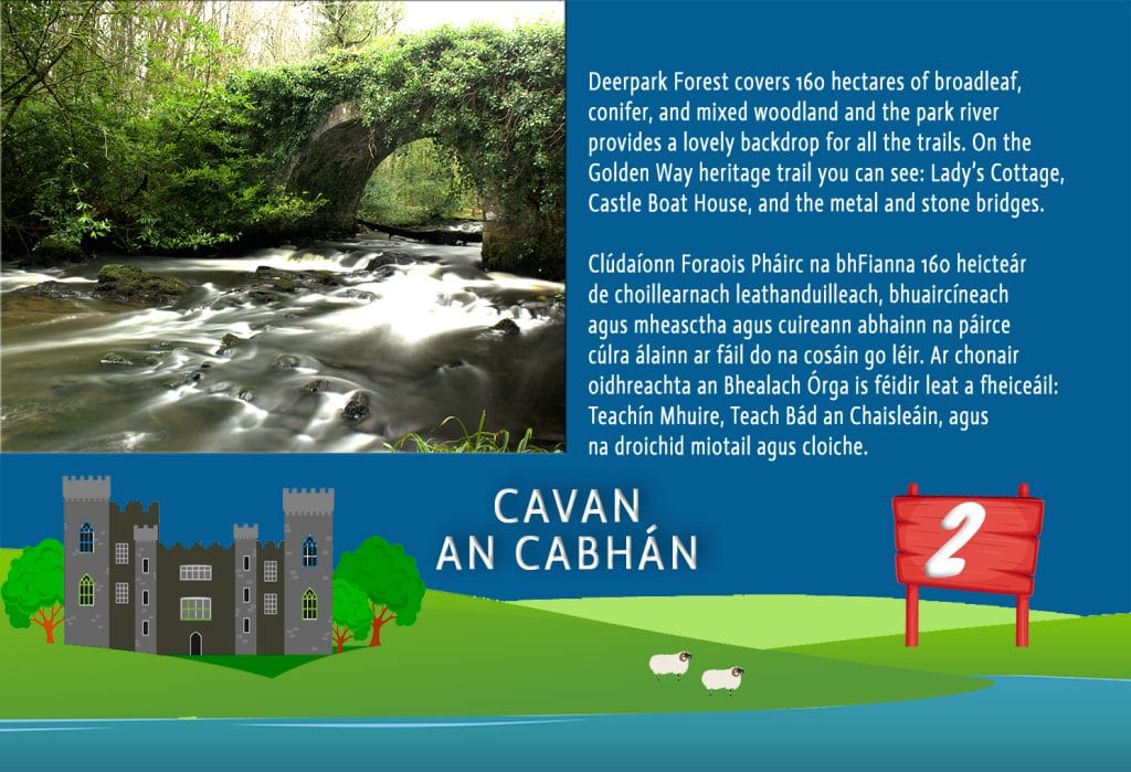 BOTÍN Irish Board Game – Learn Irish with Table Games & Jigsaws | Botin Ireland People playing BOTÍN bilingual Irish board game – learn Irish language with table games, Ireland jigsaws, and fun travel challenges.