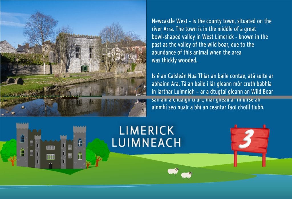 People playing BOTÍN bilingual Irish board game – learn Irish language with table games, Ireland jigsaws, and fun travel challenges.