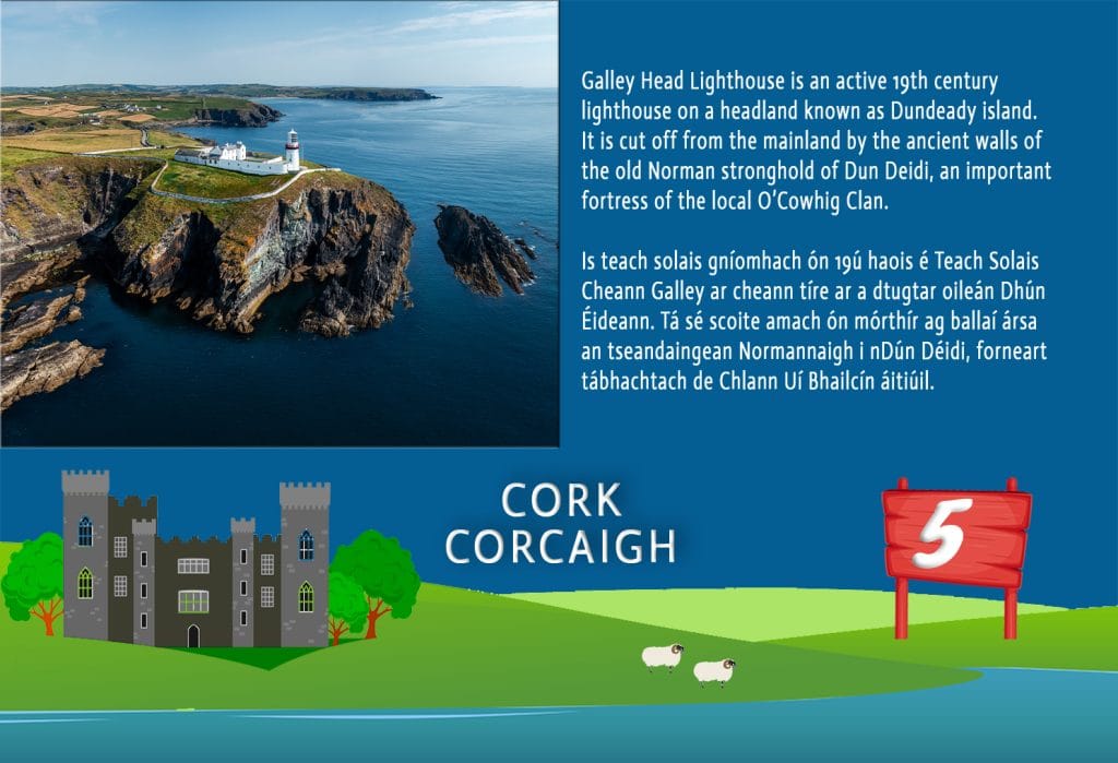 BOTÍN Irish Board Game – Learn Irish with Table Games & Jigsaws | Botin Ireland People playing BOTÍN bilingual Irish board game – learn Irish language with table games, Ireland jigsaws, and fun travel challenges.