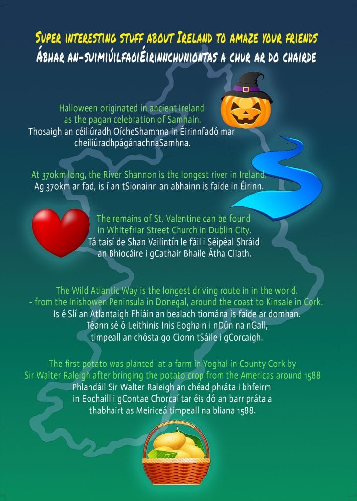 BOTÍN Irish Board Game – Learn Irish with Table Games & Jigsaws | Botin Ireland People playing BOTÍN bilingual Irish board game – learn Irish language with table games, Ireland jigsaws, and fun travel challenges.